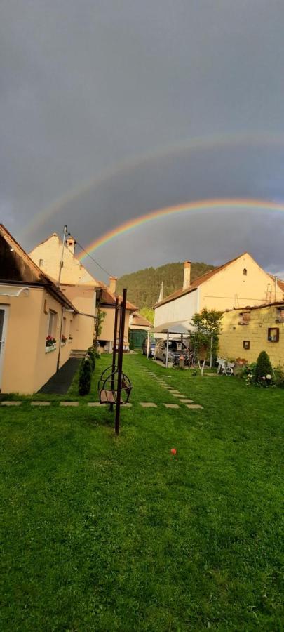 Casa Joy Villa Rîşnov Eksteriør billede